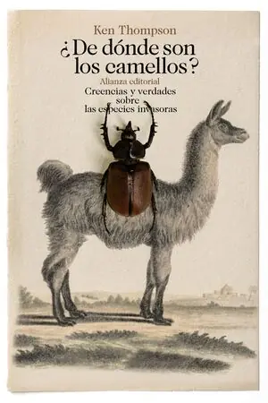 ¿DE DÓNDE SON LOS CAMELLOS? Venta Final