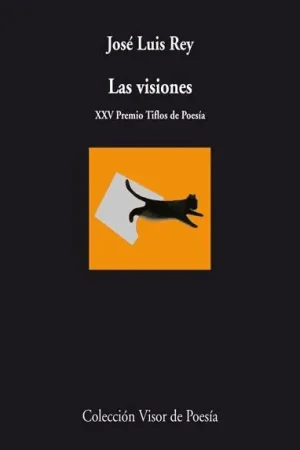 Visiones Ordenar Ahora Mismo