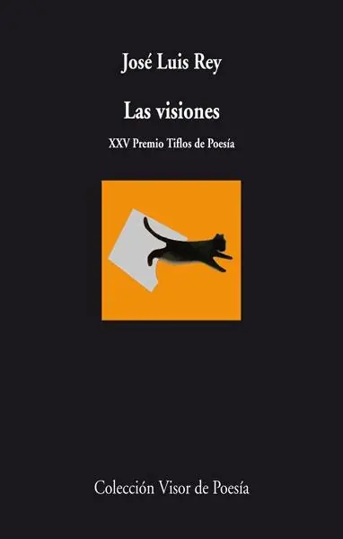 Visiones Ordenar Ahora Mismo