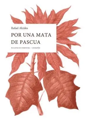 A Buen Precio Por una Mata de Pascua