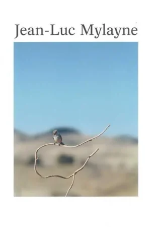Trazos de un cielo en manos del tiempo Novedad